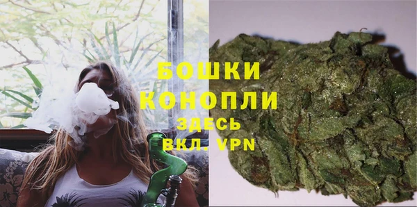 винт Гусиноозёрск