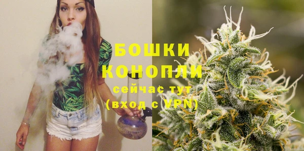 винт Гусиноозёрск