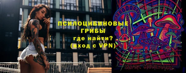ALPHA-PVP Гусев