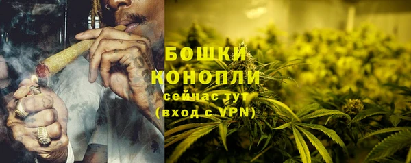 ALPHA-PVP Гусев